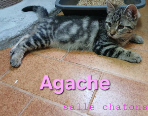 Photo de AGACHE maintenant  RUMY