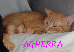 Photo de AGHERRA