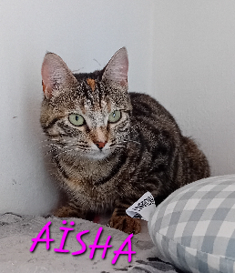 Photo de AÏSHA 🧡