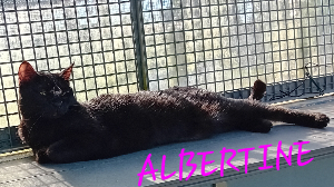 Photo de ALBERTINE
