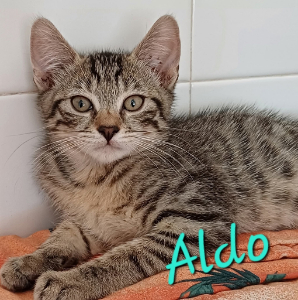 Photo de ALDO