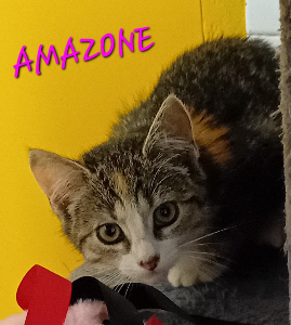 Photo de AMAZONE