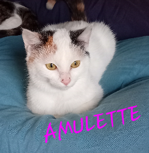 Photo de AMULETTE