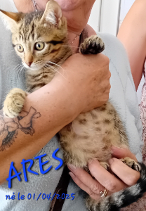 Photo de ARES