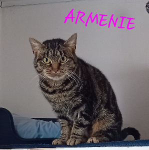 Photo de ARMÉNIE