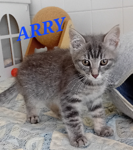 Photo de ARRY