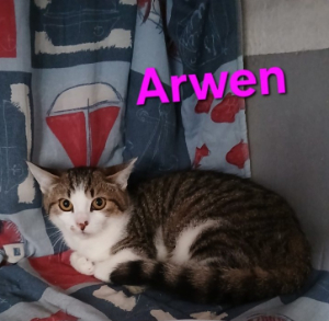 Photo de ARWEN
