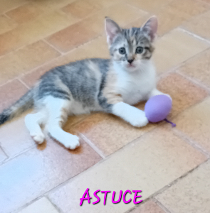 Photo de ASTUCE