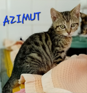 Photo de AZIMUT