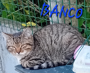 Photo de BANCO 🧡