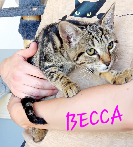 Photo de BECCA