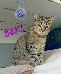 Photo de BEKI