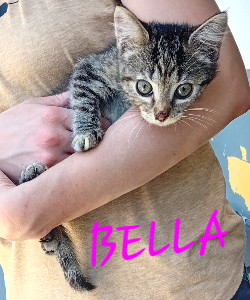 Photo de BELLA