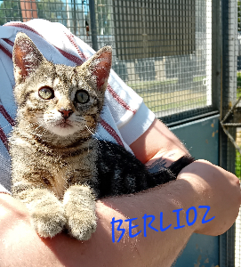 Photo de BERLIOZ