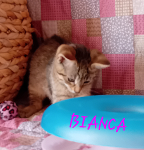 Photo de BIANCA