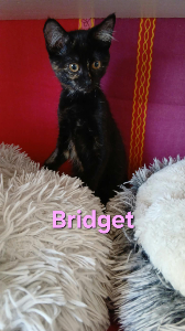 Photo de BRIDGET.  maintenant  BLOOM