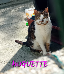 Photo de HUGUETTE 🧡