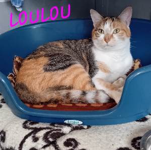 Photo de LOULOU