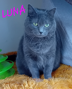 Photo de LUNA