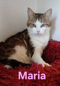 Photo de MARIA
