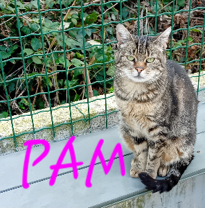 Photo de PAM