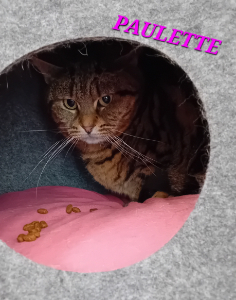 Photo de PAULETTE
