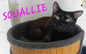 Photo de SOUALLIE