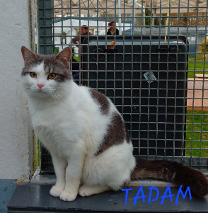 Photo de TADAM