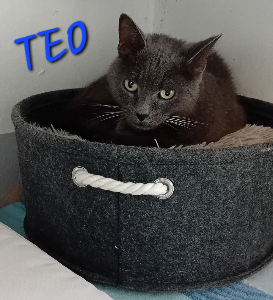 Photo de TÉO