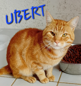 Photo de UBERT