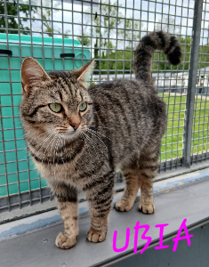 Photo de UBIA