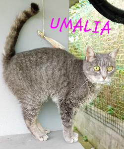 Photo de UMALIA