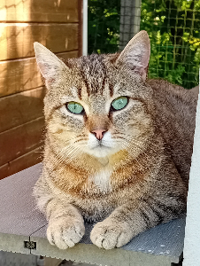 Photo de Ursonne