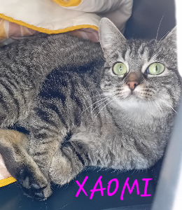 Photo de XAOMI