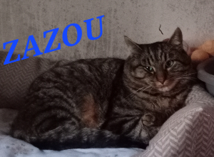 Photo de ZAZOU
