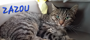 Photo de ZAZOU
