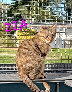 Photo de ZIA 🧡