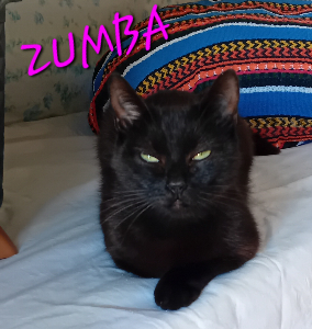 Photo de ZUMBA