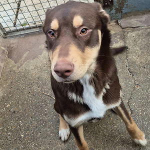 Photo de Igloo (parti en famille à l'essaie)