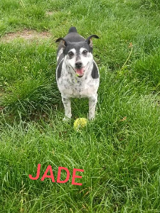 Photo de JADE