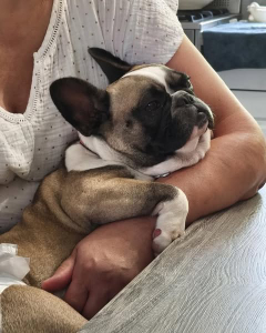 Photo de Princesse dite Tesse