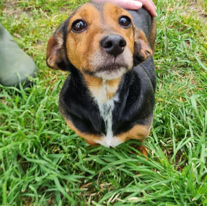 Photo de Roxy