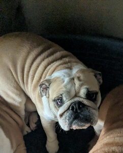 Photo de Tessy (parti en famille à l'essai)