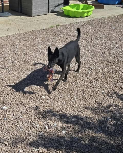 Photo de Thelma