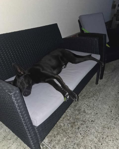 Photo de Thelma