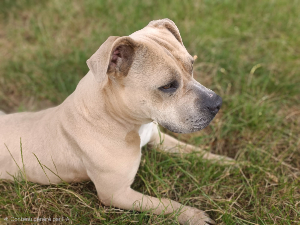 Photo de T'Laika