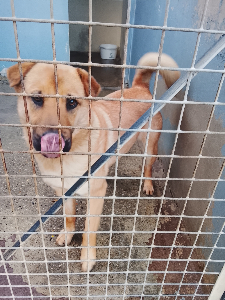 Photo de Vadrouille (parti en famille à l'essaie)