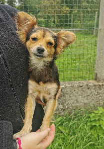 Photo de Velma