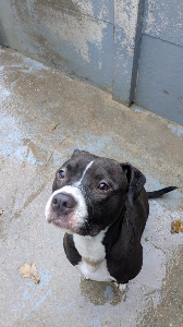 Photo de Vista dite Oria