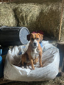 Photo de Vita dite Arsouille